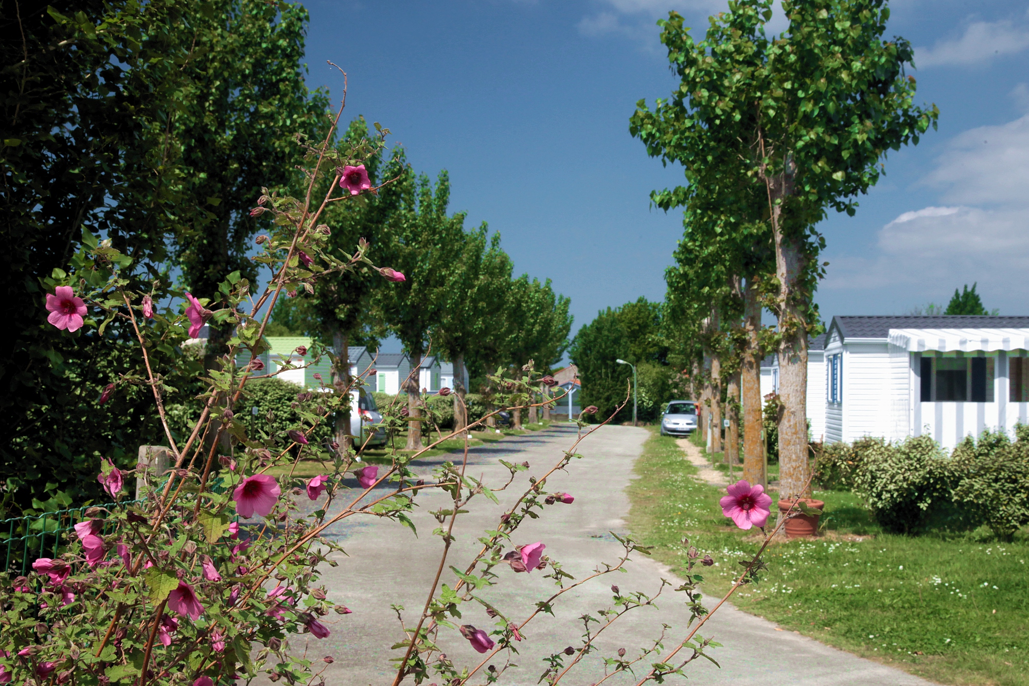 Camping calme et familial Saint Gilles croix de Vie