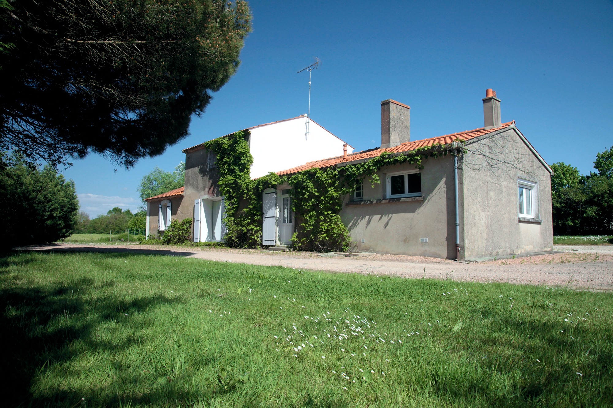 zone ombragée gite 6 personnes saint gilles croix de vie