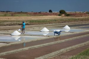 Marais salants noirmoutier