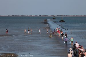 Passage du gois marée descendante noirmoutier