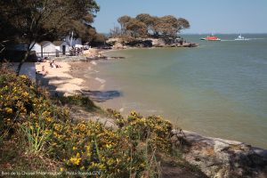 Petite crique à Noirmoutier