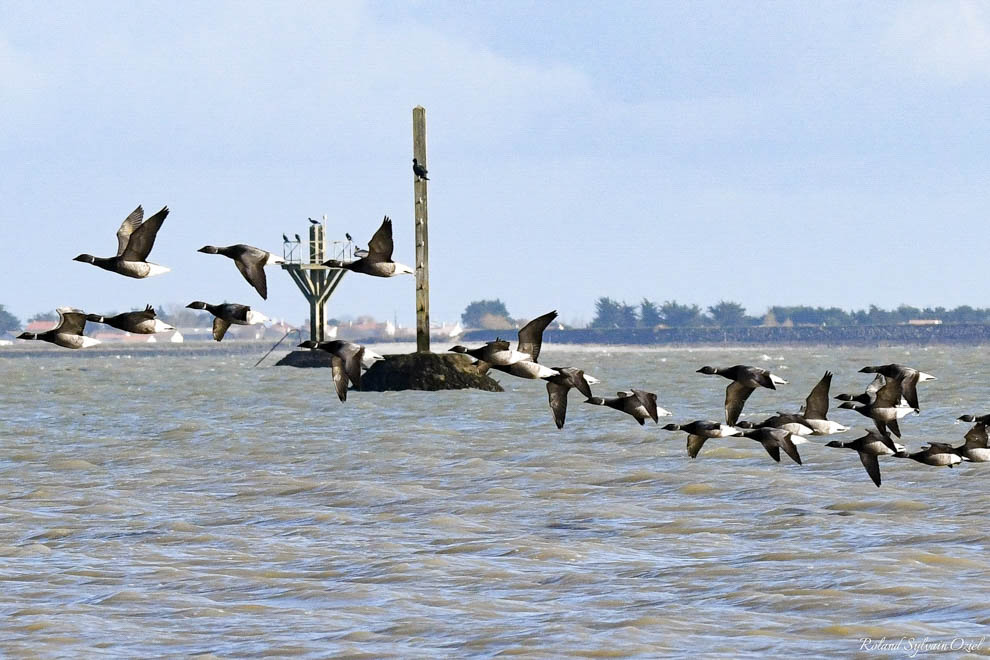 Gite de groupe proche du Passage du Gois