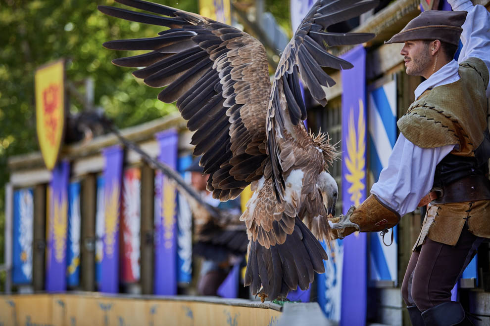 Spectacle du puy du fou Le Bal des Oiseaux Fantômes