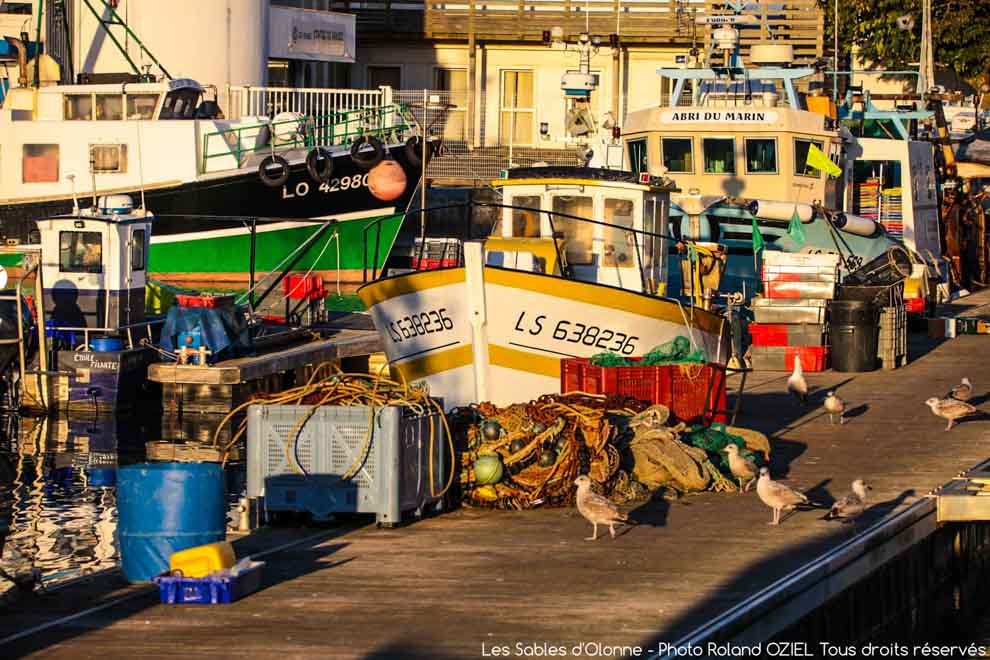 Devenez propriétaiire dans un camping Les Sables d&apos;Olonne