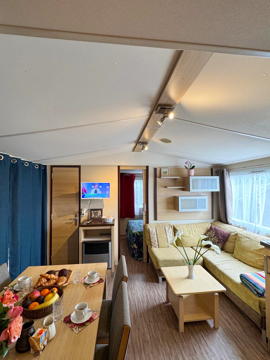 Salle de séjour Mobilhome à vendre occasion